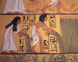 Ilustracao egipcia mostrando a colheita de linho na Tumba de Sennedjem do antigo Egito Linho historia e significado. Imagem via Deck Towel • Luema Tecidos